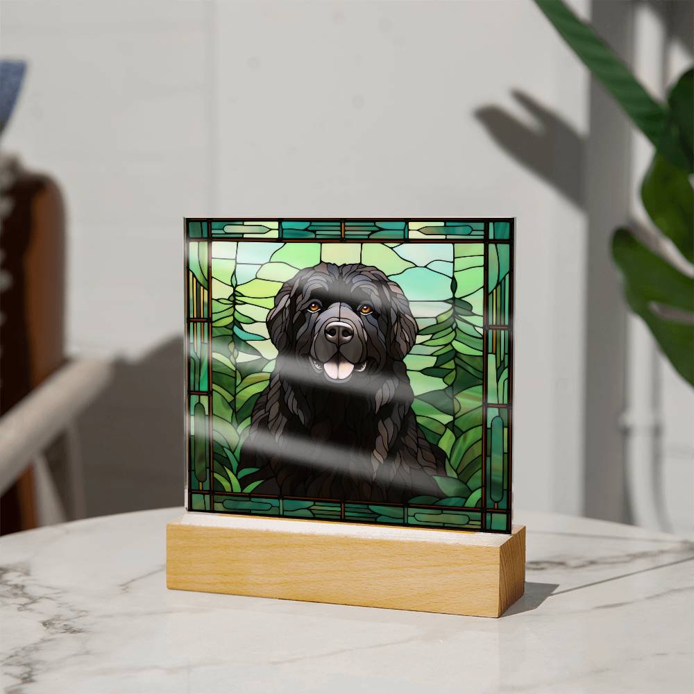 Black Newfoundland Square Acrylic Plaque
