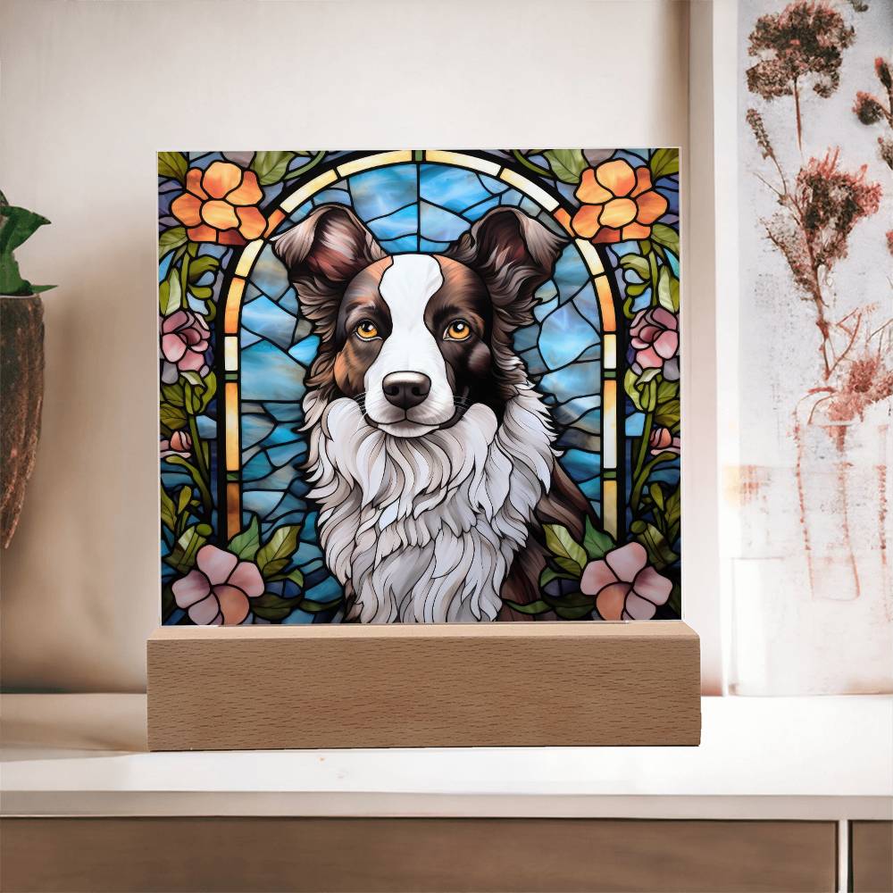Border Collie Square Acrylic Plaque