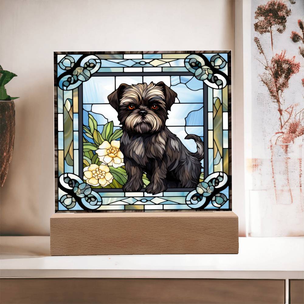 Affenpinscher Acrylic Square Plaque