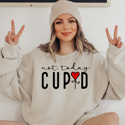 Not Today Cupid Anti Valentine's Day Sweatshirt