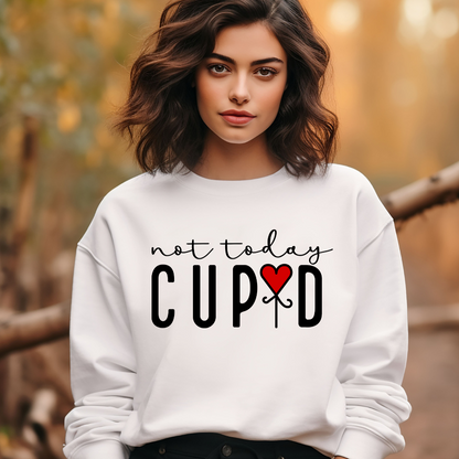 Not Today Cupid Anti Valentine's Day Sweatshirt