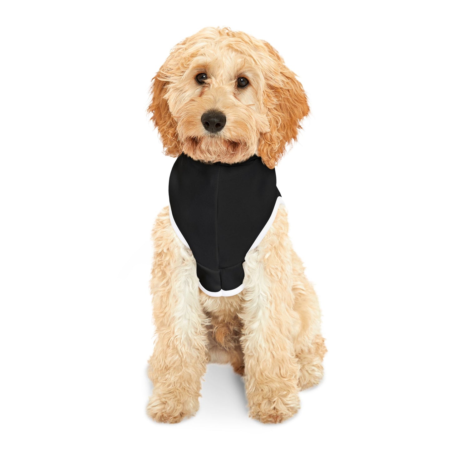 Halloween Too Cute To Spook Pet Hoodie