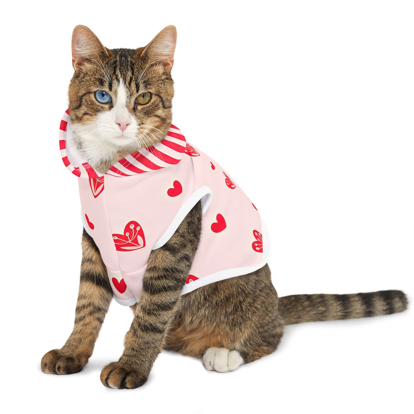 Valentine's Day Heart Pet Hoodie