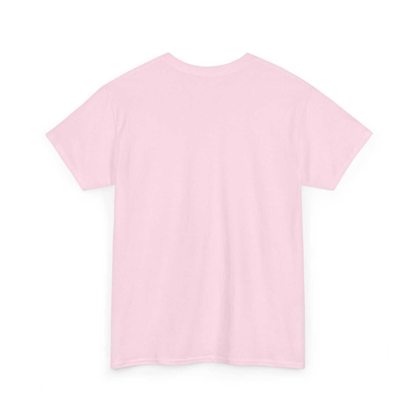 Adorable Coquette School T-Shirt