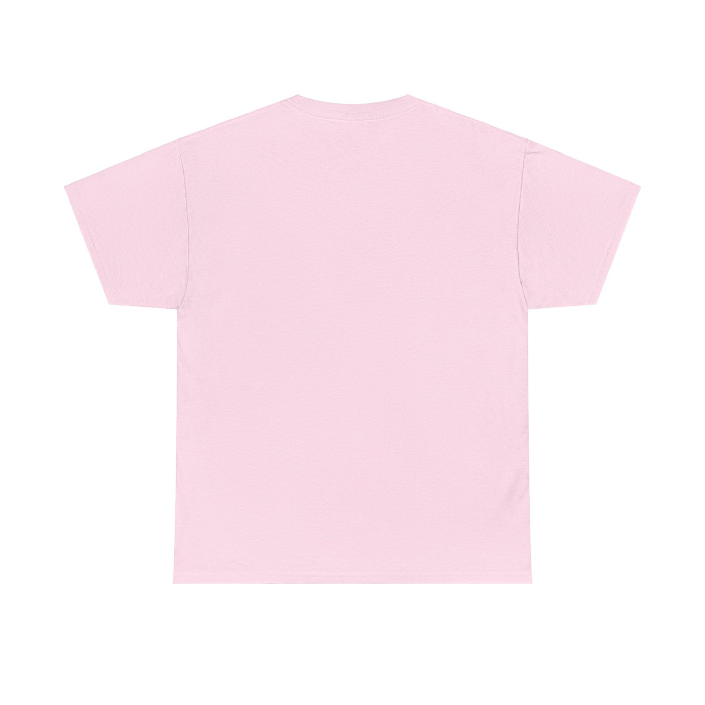 Adorable Coquette School T-Shirt