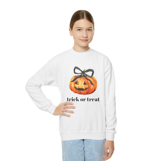 Halloween Trick or Treat Youth Sweatshirt