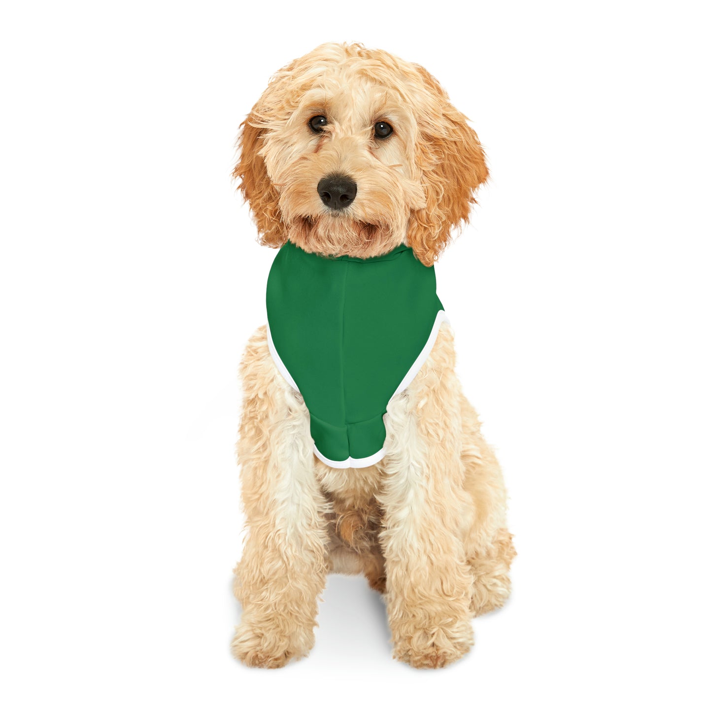 Lucky Dog St. Patrick's Day Pet Hoodie