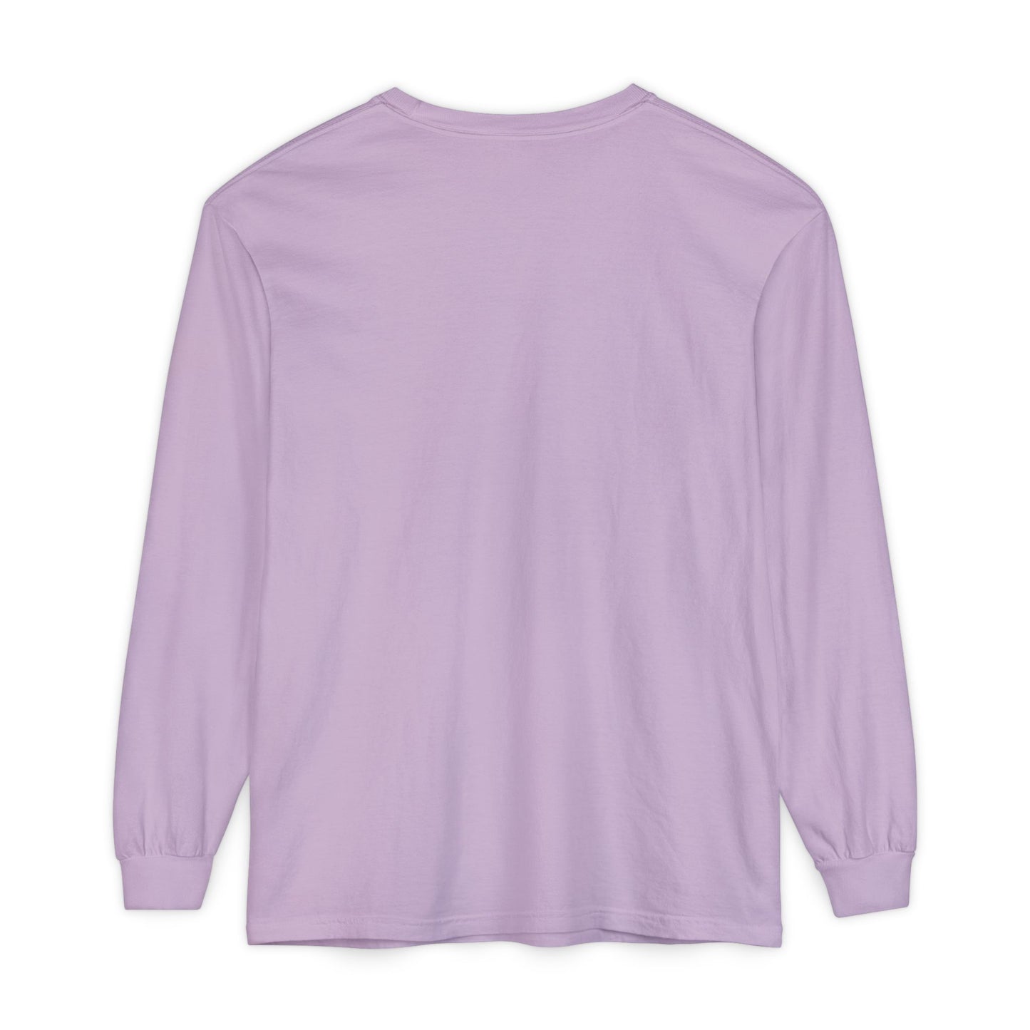 Dinosaurs Didn’t Read Long Sleeve T‑Shirt