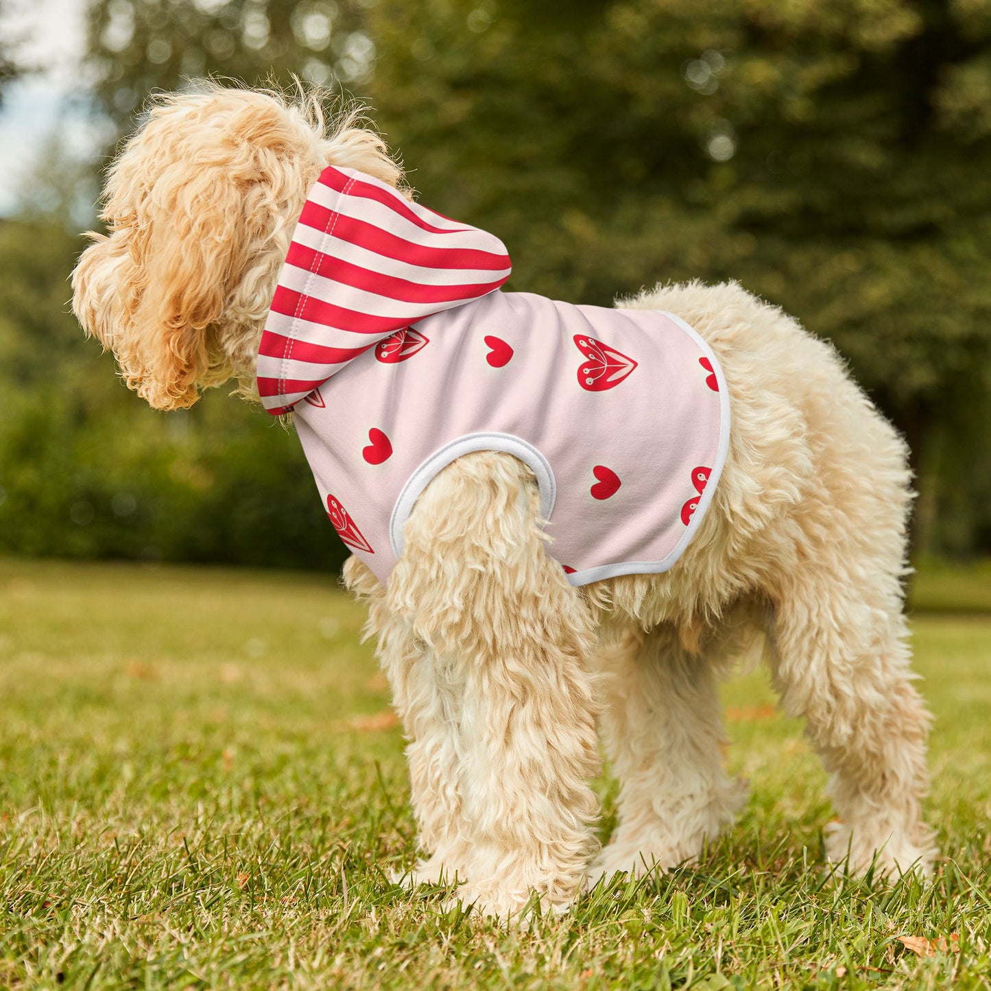 Valentine's Day Heart Pet Hoodie