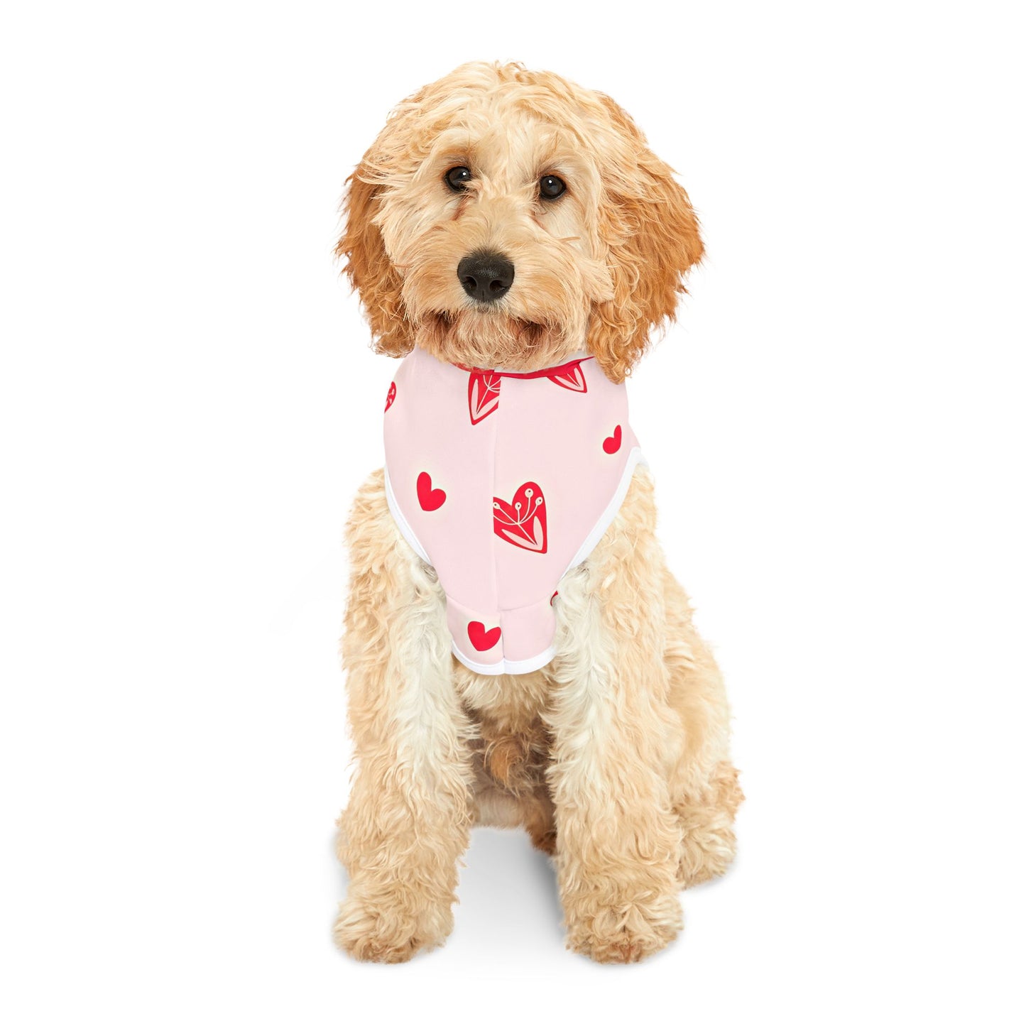 Valentine's Day Heart Pet Hoodie