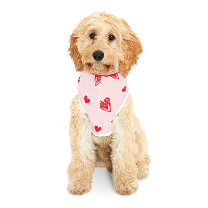 Valentine's Day Heart Pet Hoodie