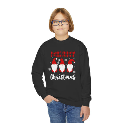 Merry Gnome Christmas Youth Sweatshirt