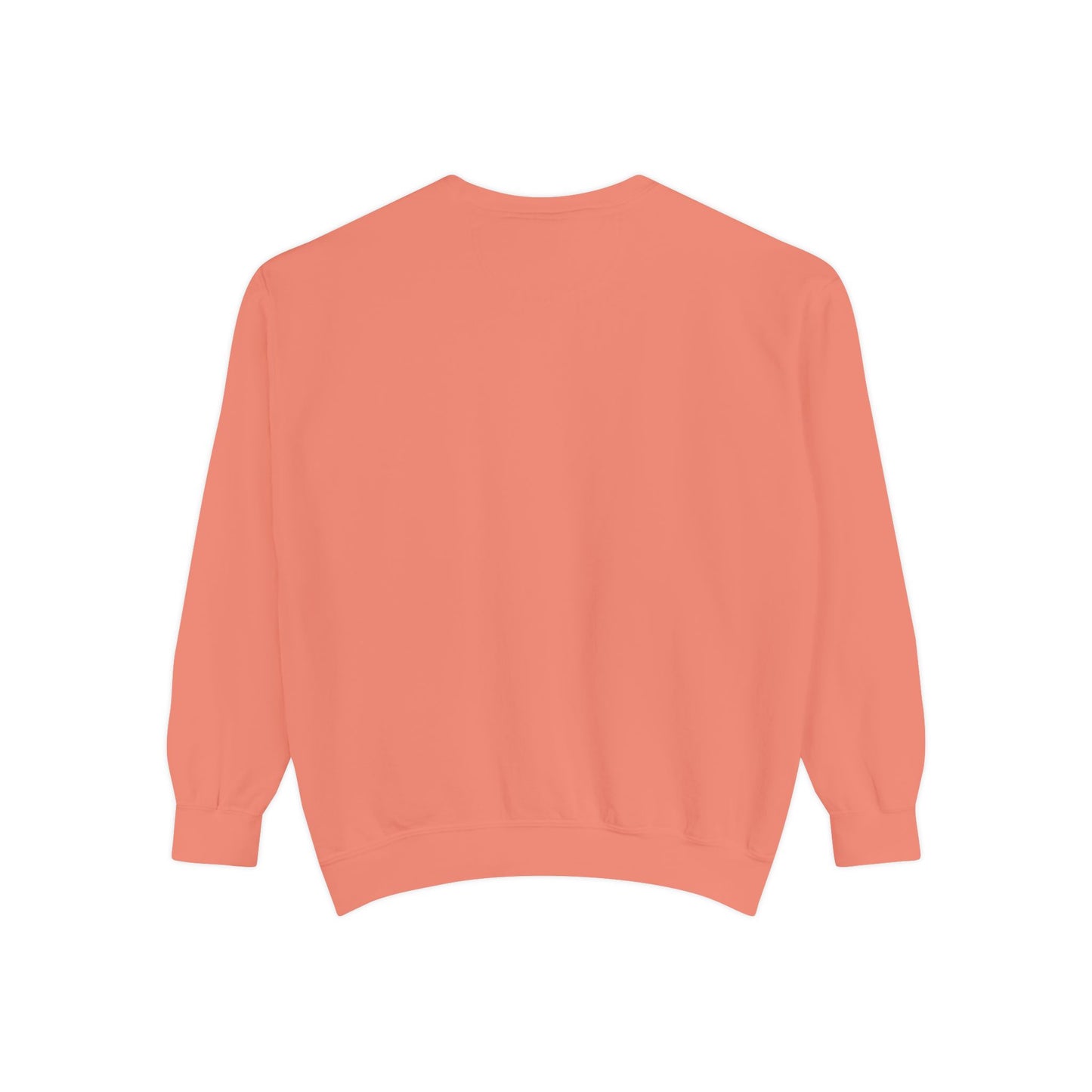 "Got Too Silly" Cute Animal Sweatshirt Crewneck
