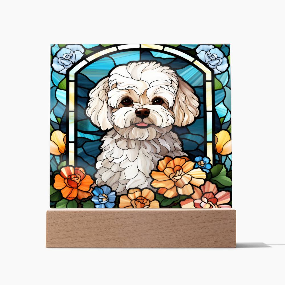 Maltipoo Dog Acrylic  Square Plaque, Pet Memorial