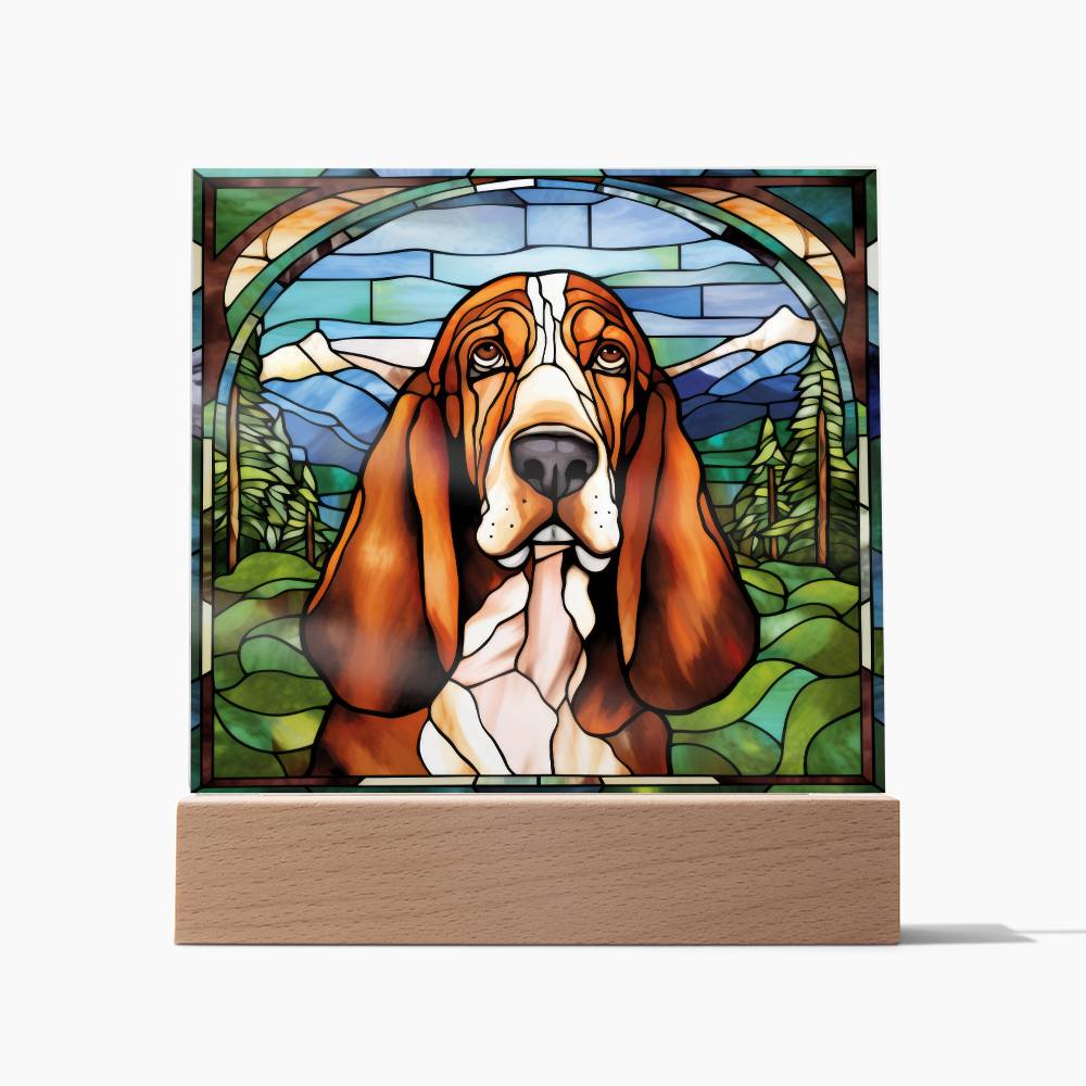 Basset Hound Acrylic Plaque