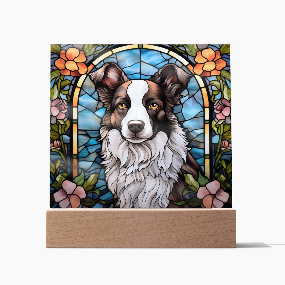 Border Collie Acrylic Plaque