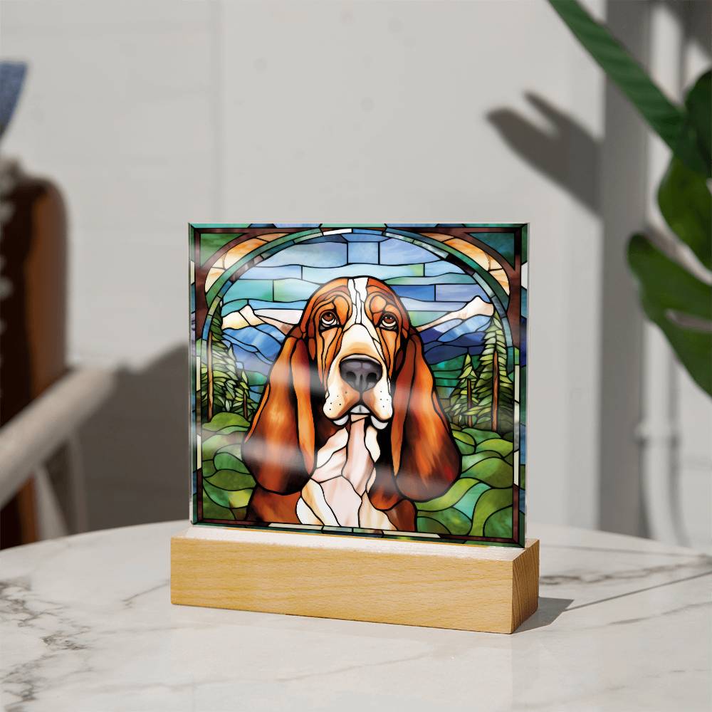 Basset Hound Acrylic Plaque