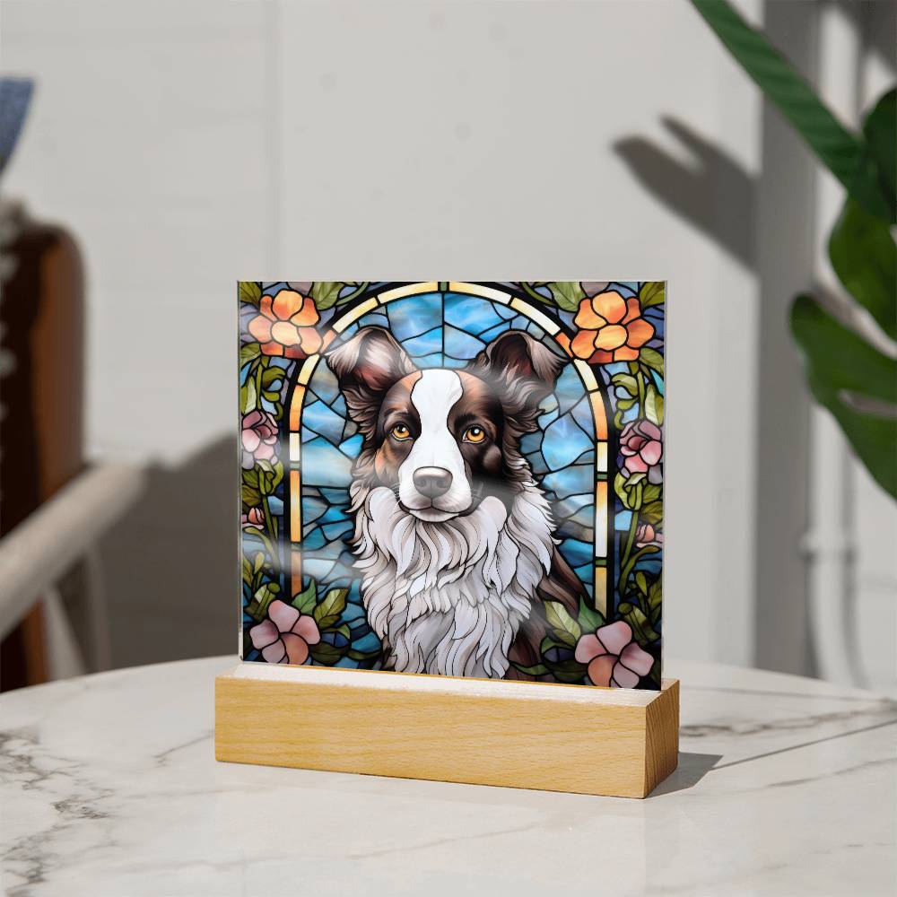 Border Collie Acrylic Plaque