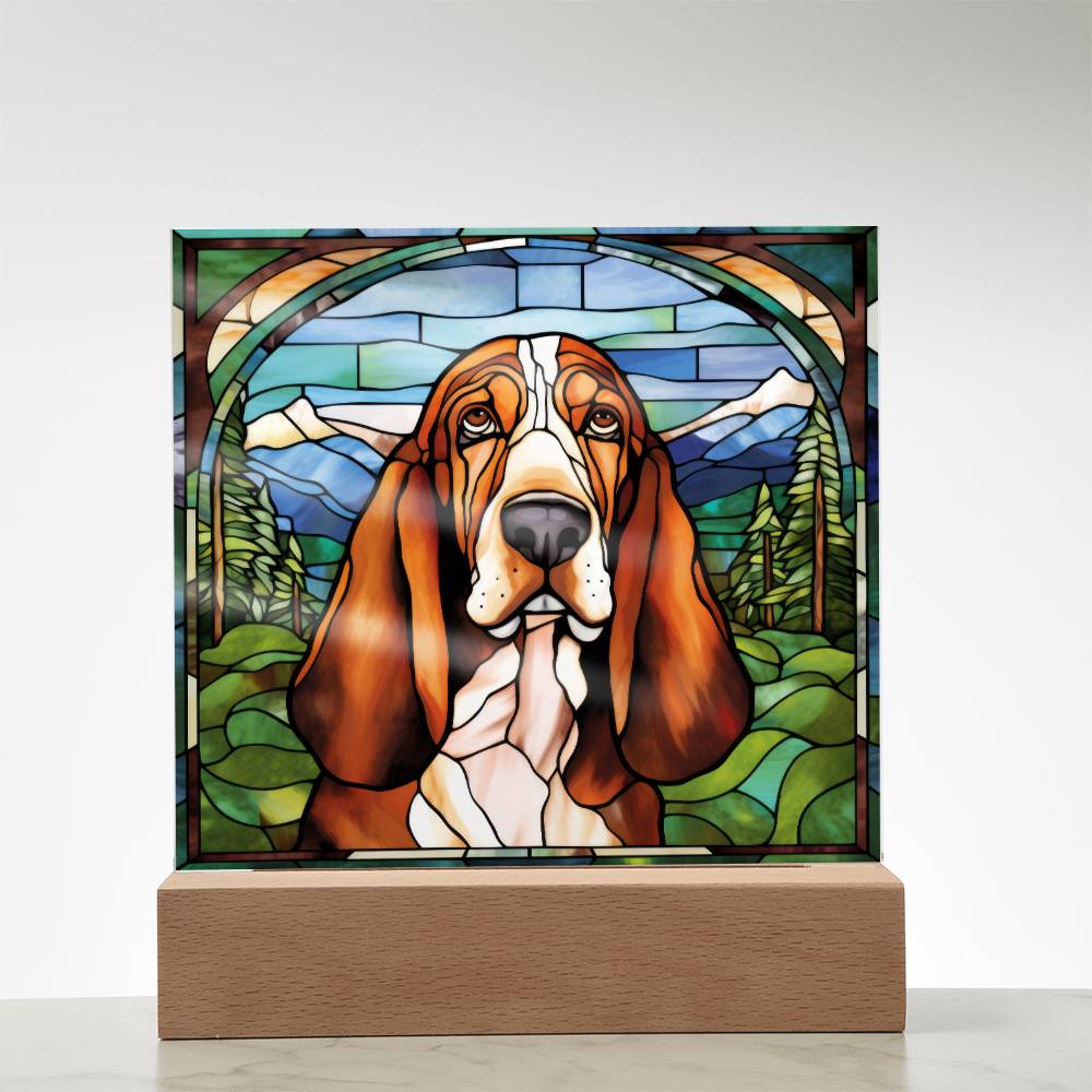 Basset Hound Acrylic Plaque