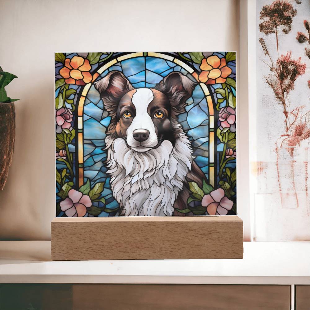 Border Collie Acrylic Plaque