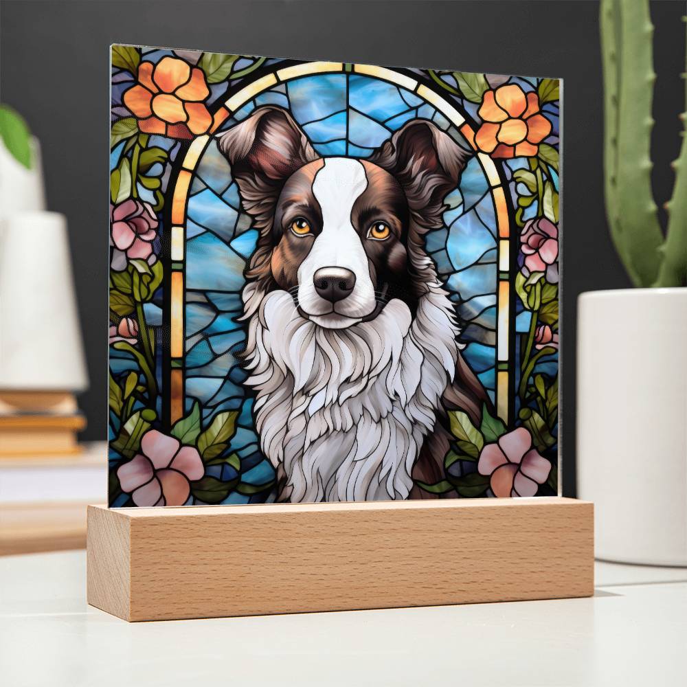 Border Collie Acrylic Plaque