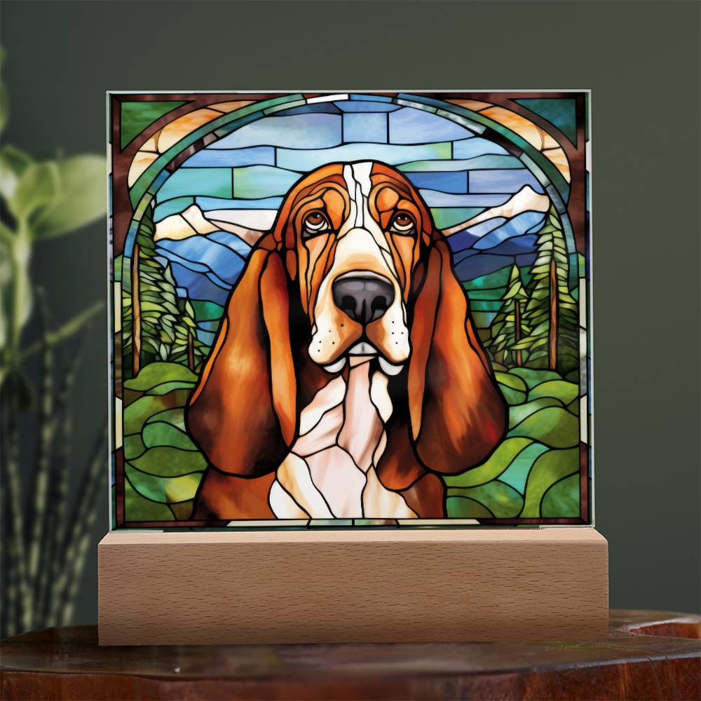 Basset Hound Acrylic Plaque