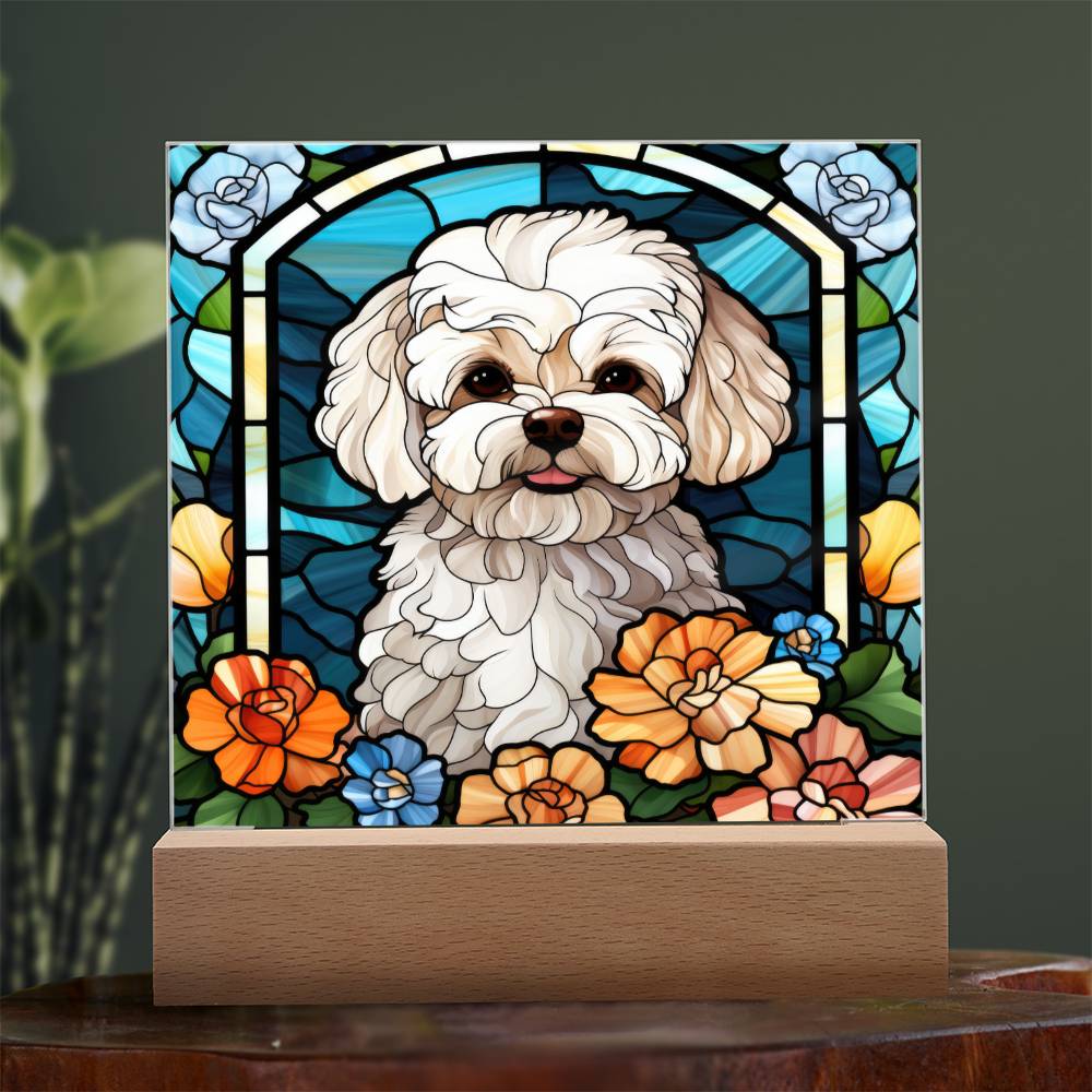 Maltipoo Dog Acrylic  Square Plaque, Pet Memorial