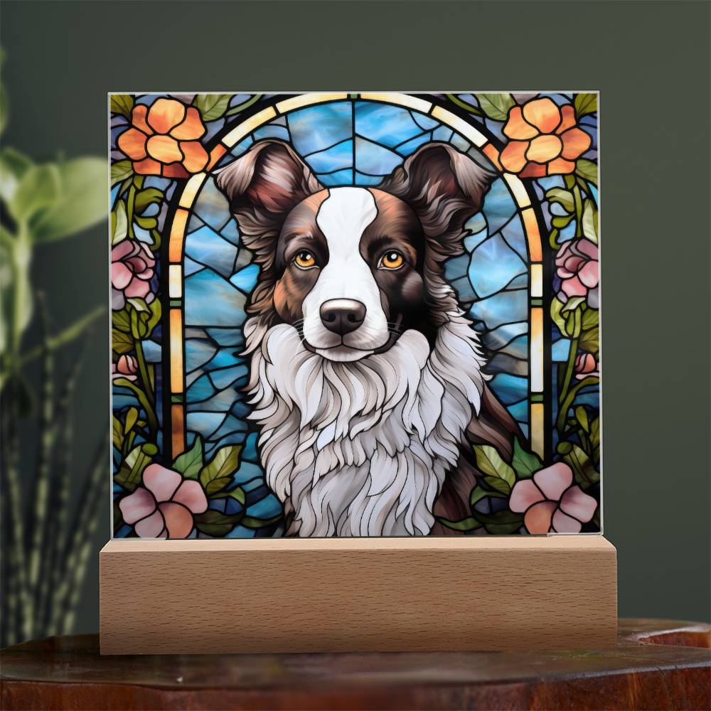 Border Collie Acrylic Plaque