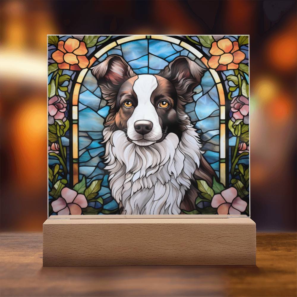 Border Collie Acrylic Plaque