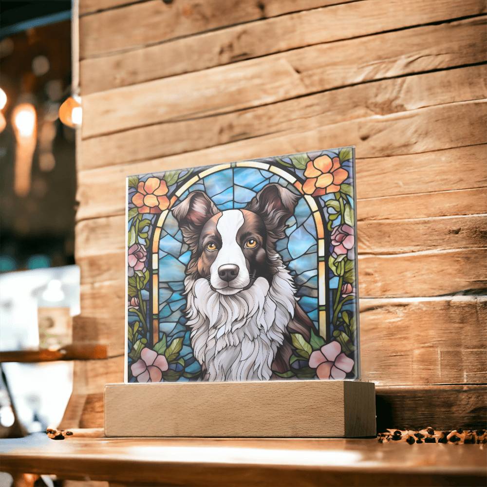 Border Collie Acrylic Plaque