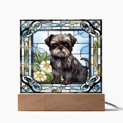 Affenpinscher Acrylic Square Plaque