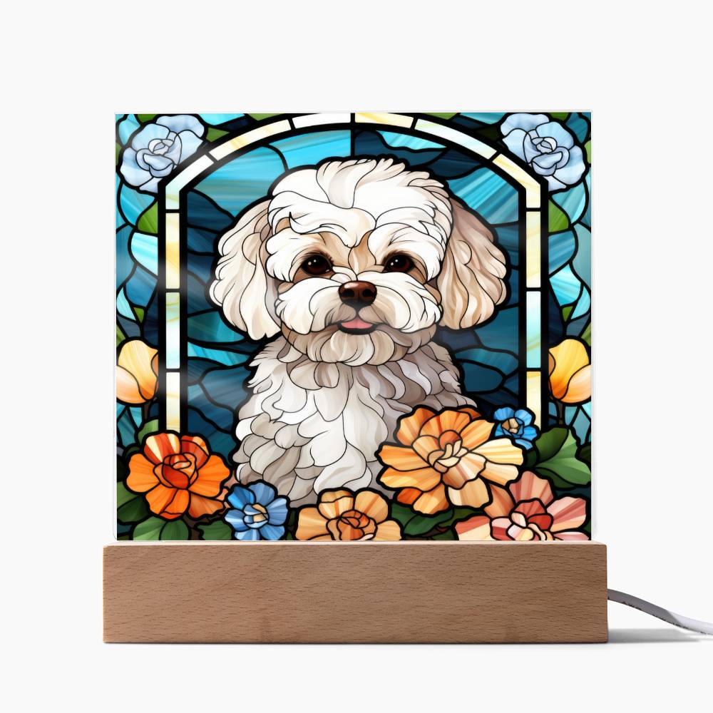 Maltipoo Dog Acrylic  Square Plaque, Pet Memorial