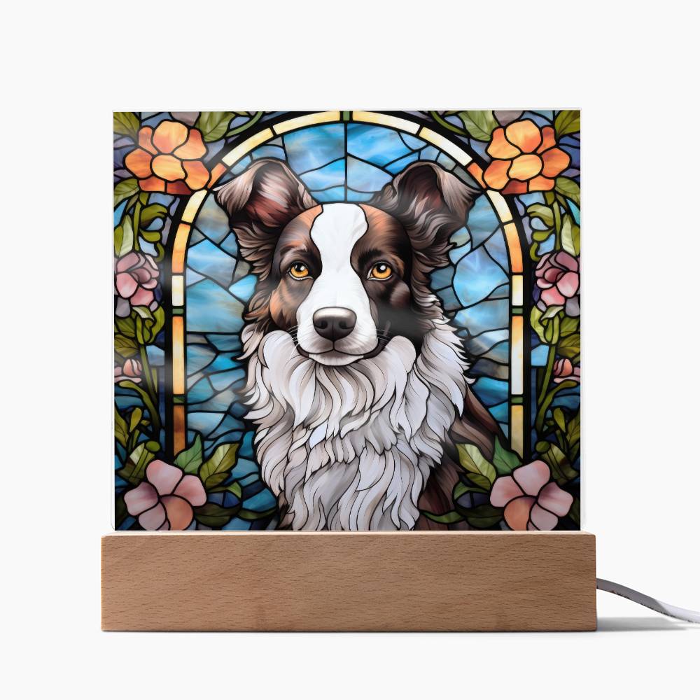 Border Collie Acrylic Plaque