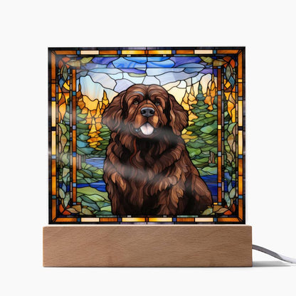 Newfoundland Dog Acrylic Plaque