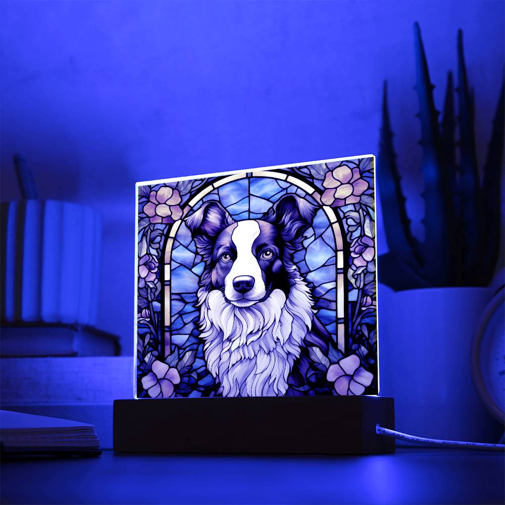 Border Collie Acrylic Plaque