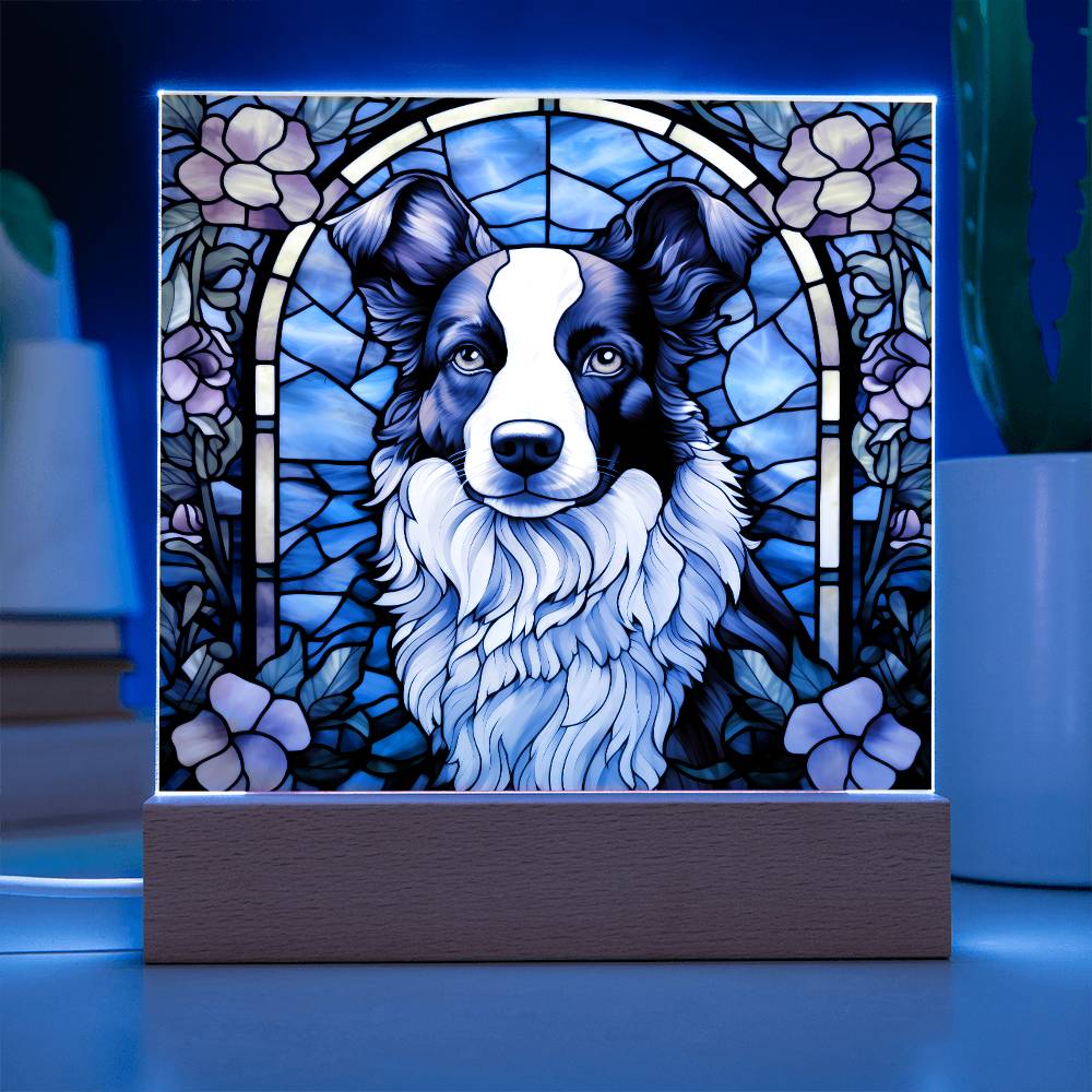 Border Collie Acrylic Plaque