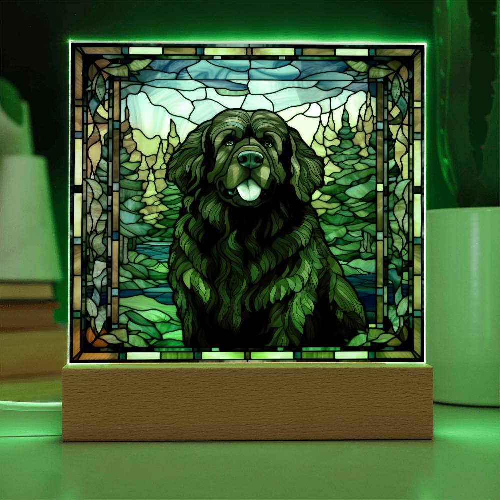 Newfoundland Dog Acrylic Plaque