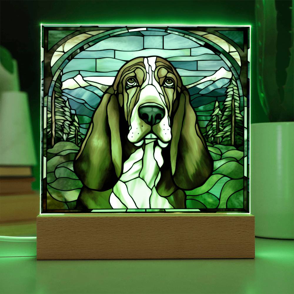 Basset Hound Acrylic Plaque