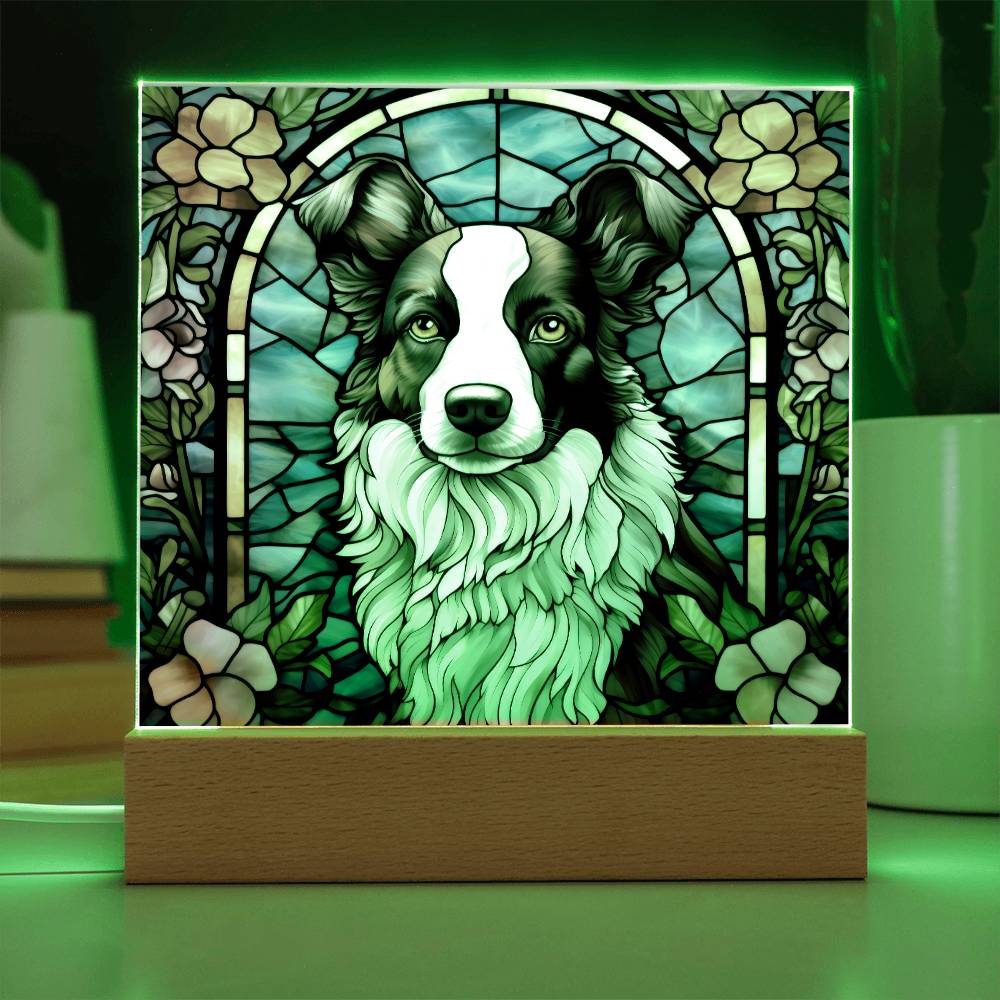 Border Collie Acrylic Plaque