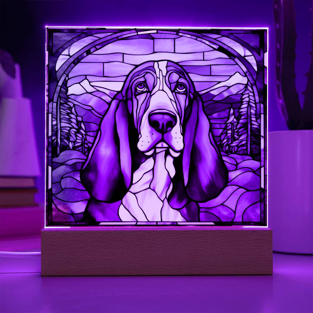 Basset Hound Acrylic Plaque