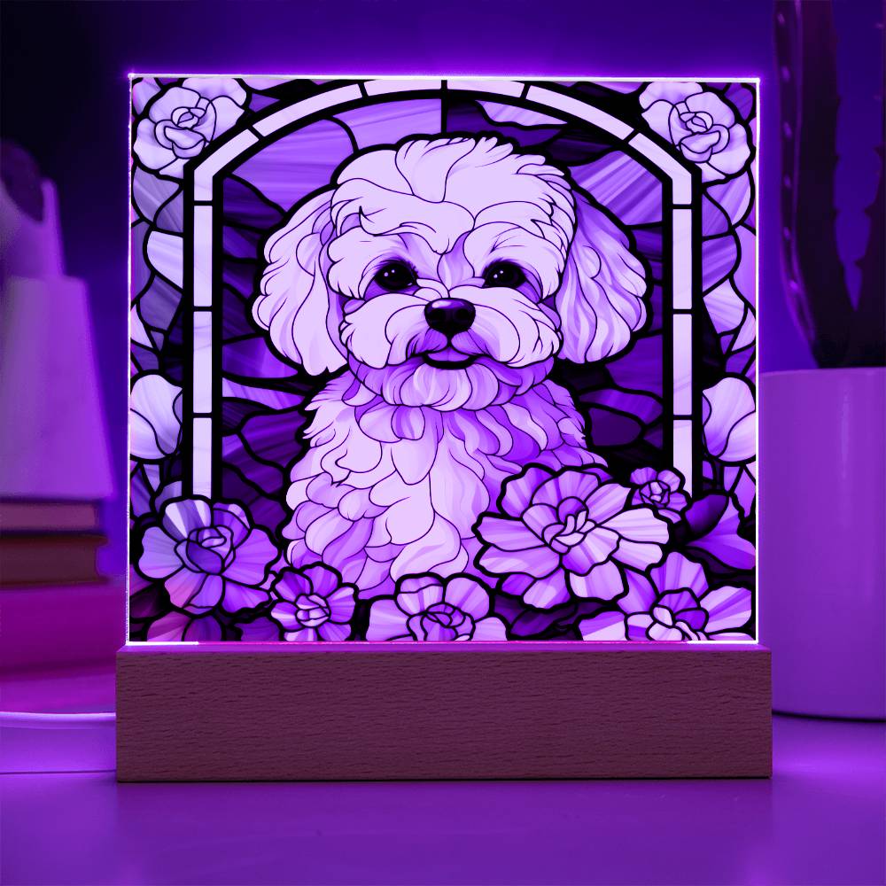 Maltipoo Dog Acrylic  Square Plaque, Pet Memorial