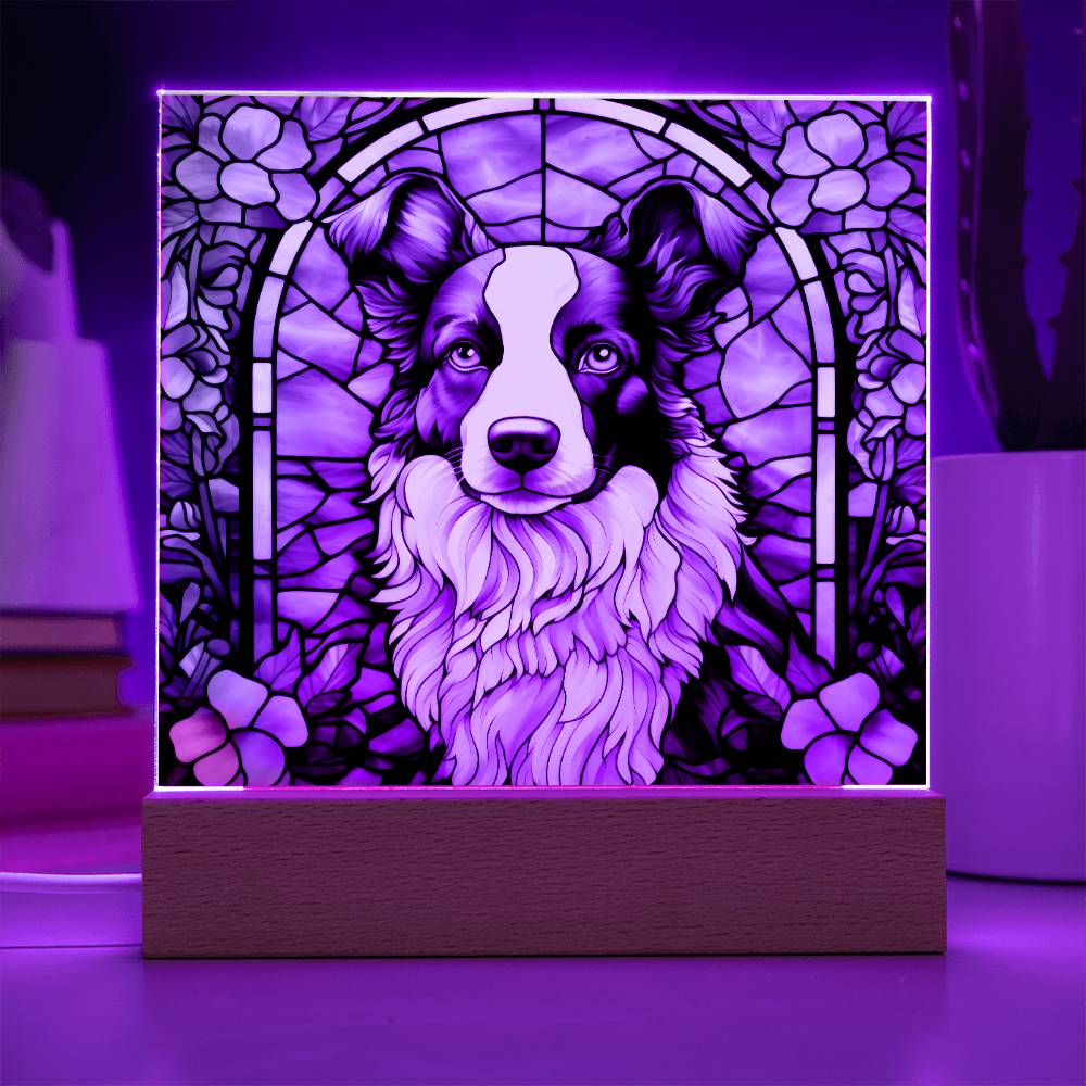 Border Collie Acrylic Plaque