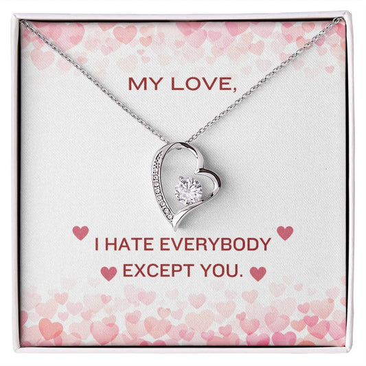 I Hate Everybody But You Valentine's Day Heart Necklace