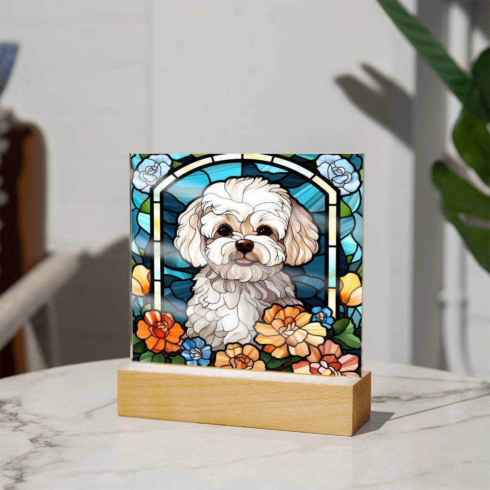 Maltipoo Dog Acrylic  Square Plaque, Pet Memorial