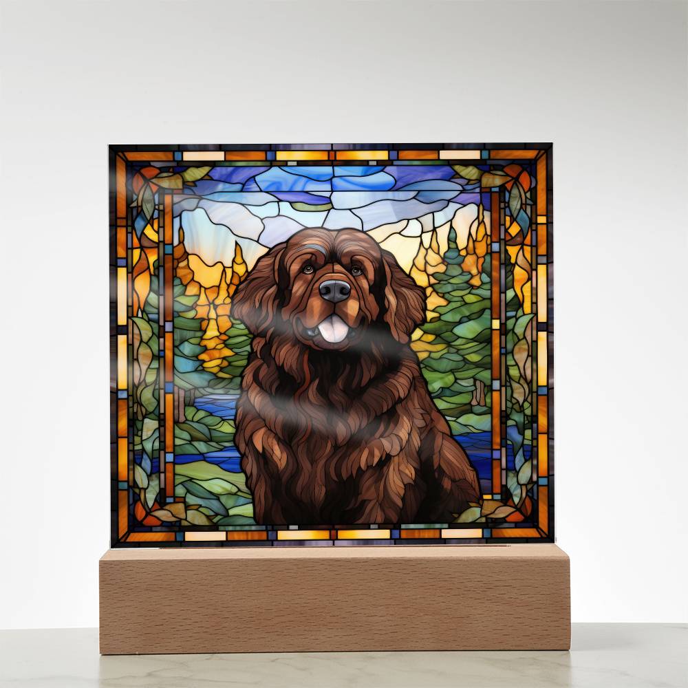 Newfoundland Dog Acrylic Plaque