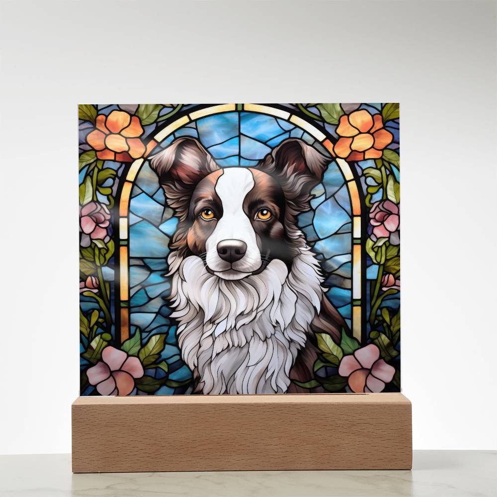 Border Collie Acrylic Plaque