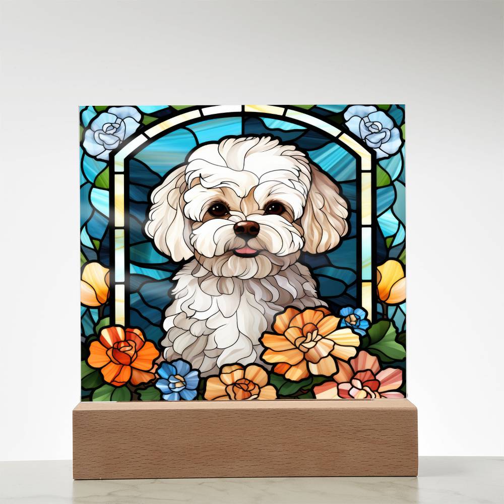 Maltipoo Dog Acrylic  Square Plaque, Pet Memorial