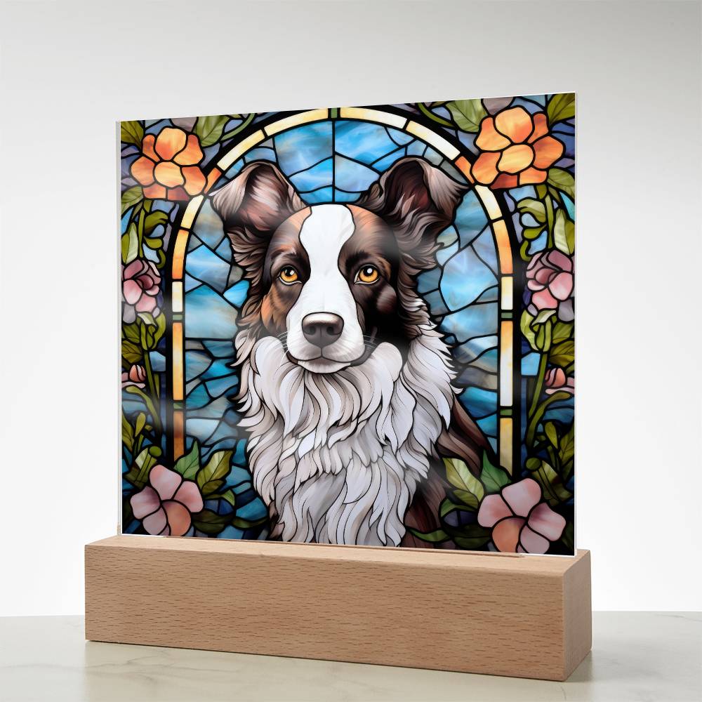 Border Collie Acrylic Plaque