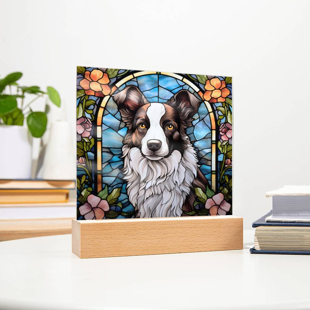 Border Collie Acrylic Plaque