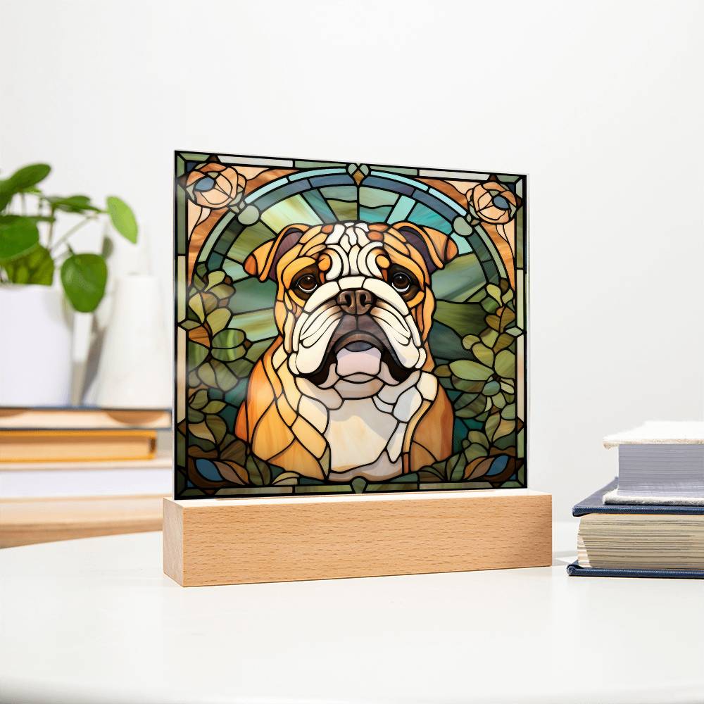 Bulldog Acrylic Square Plaque